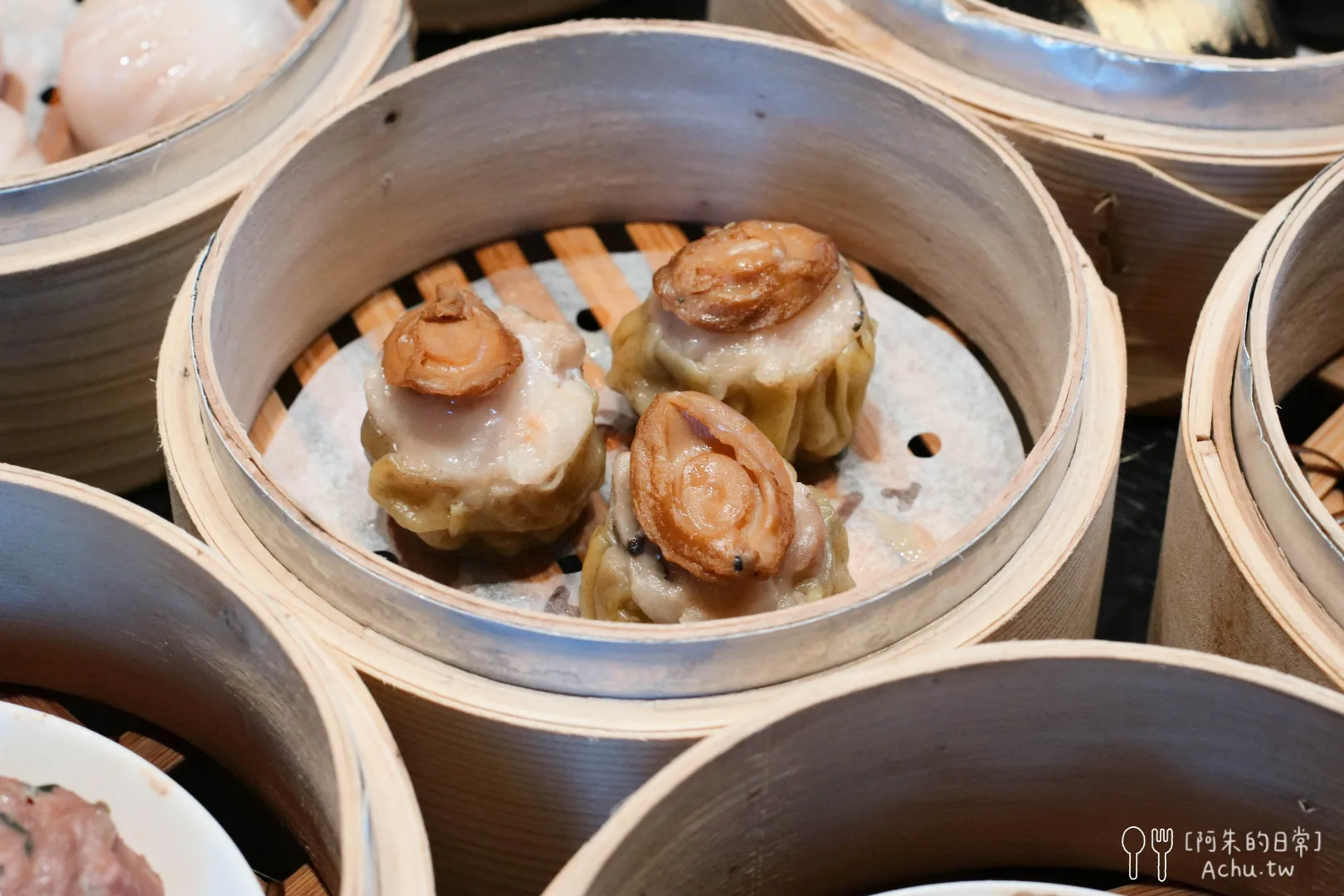 屾淼苑