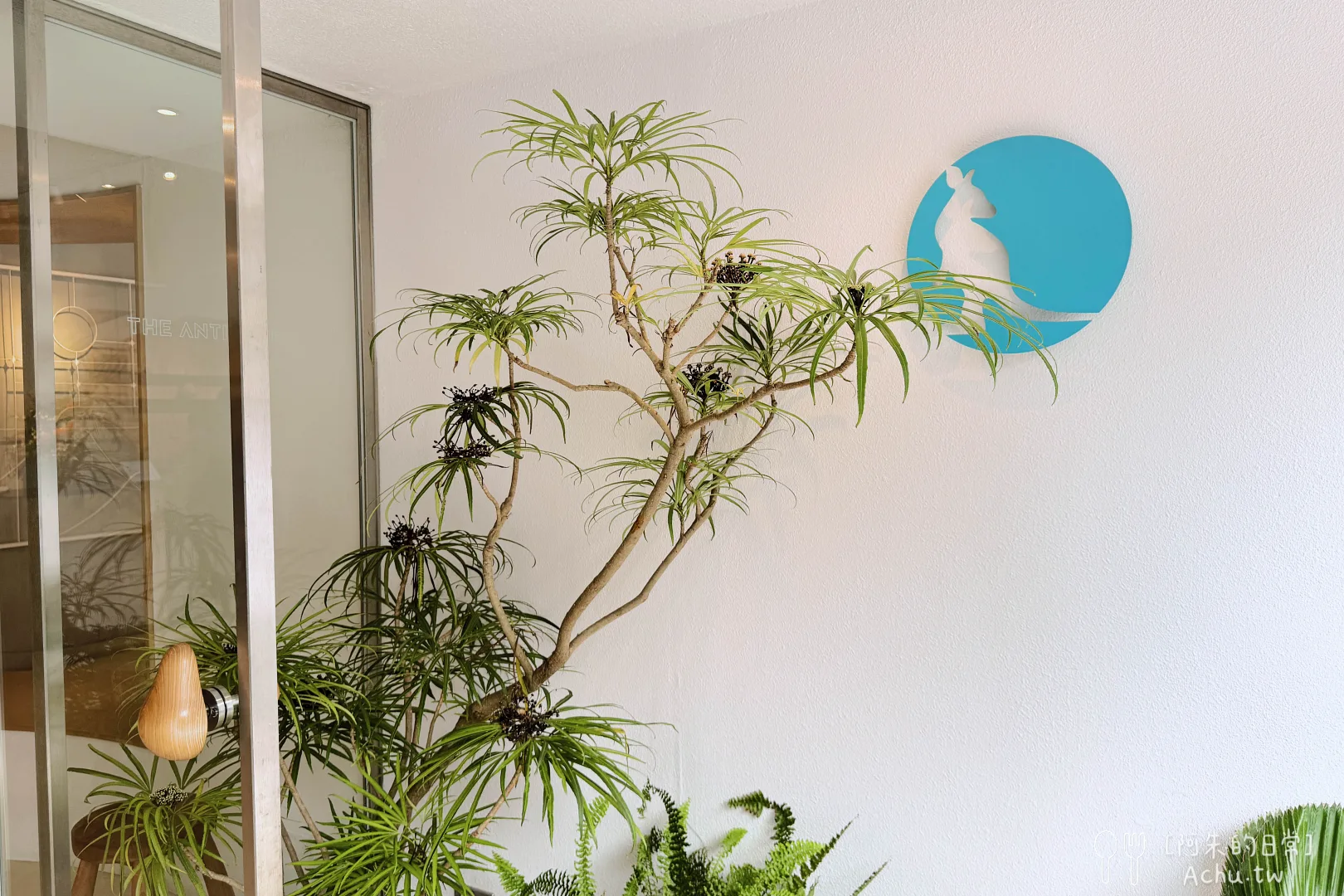 The Antipodean (富錦店)