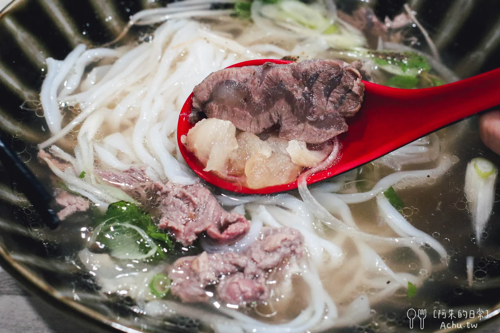 鴻發海南雞肉飯