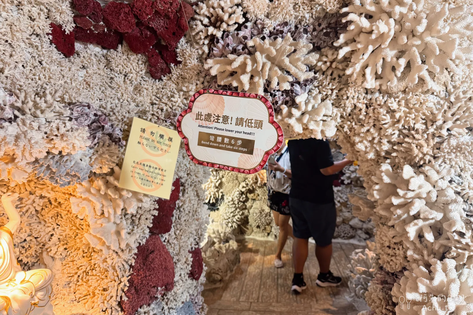 台灣珊瑚貝殼廟
