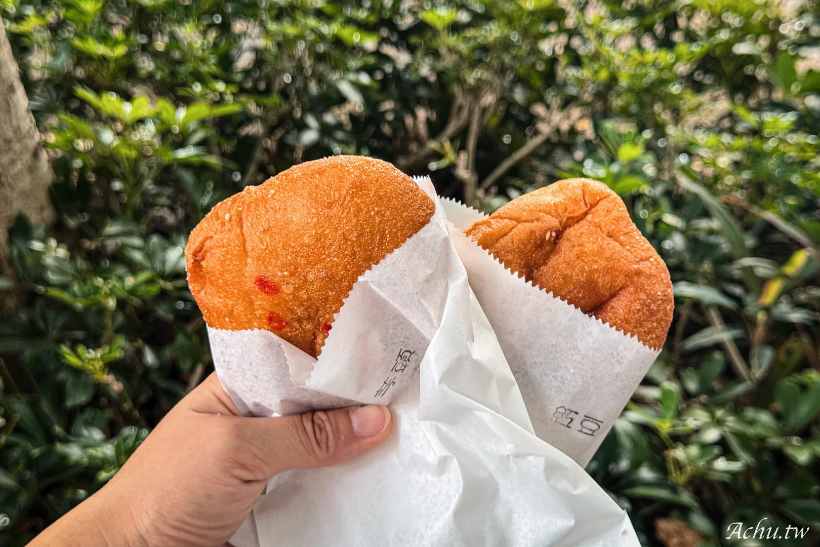 南波One雙胞胎&甜甜圈