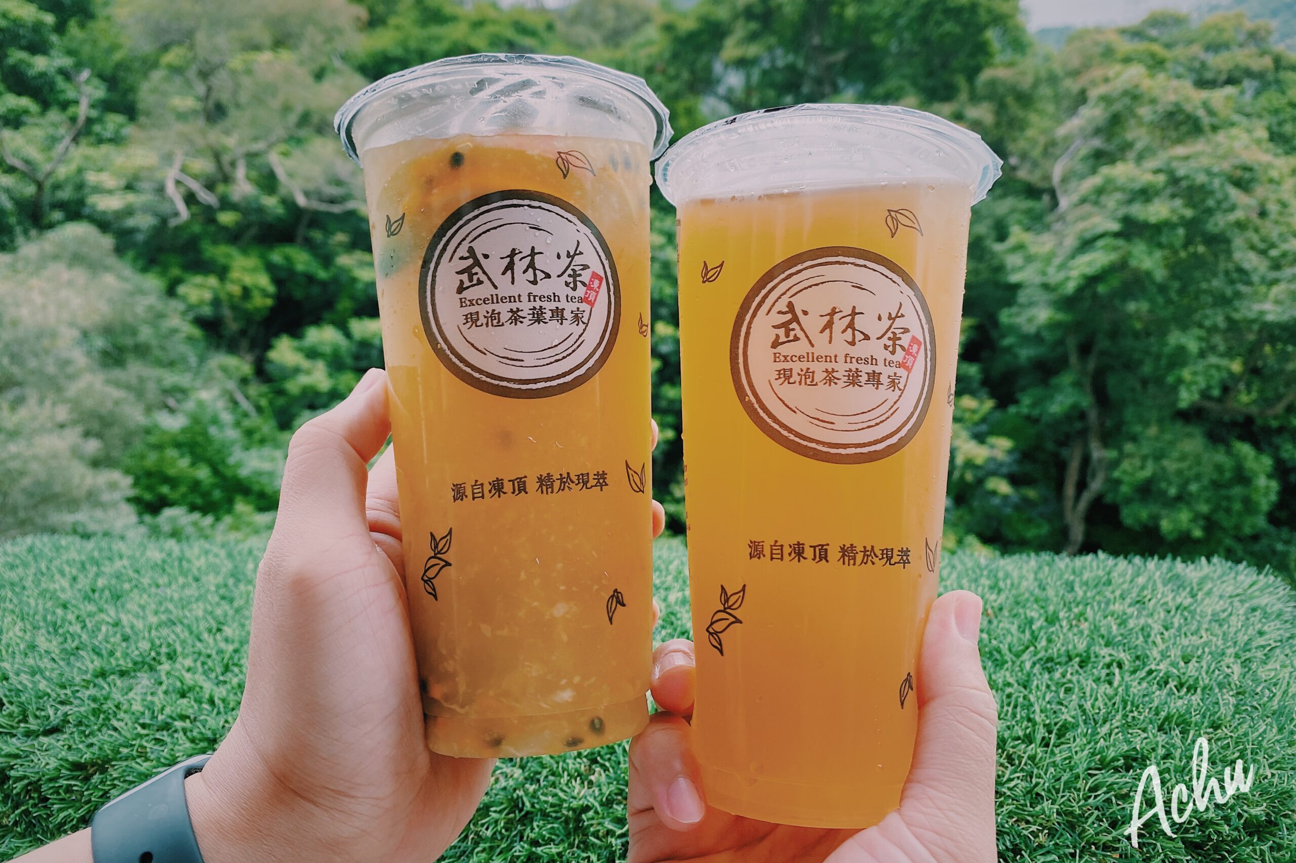 【飲料推薦】武林茶 內湖飲料推薦 致力於現萃手沖茶的手搖飲品 (菜單) @阿朱的日常